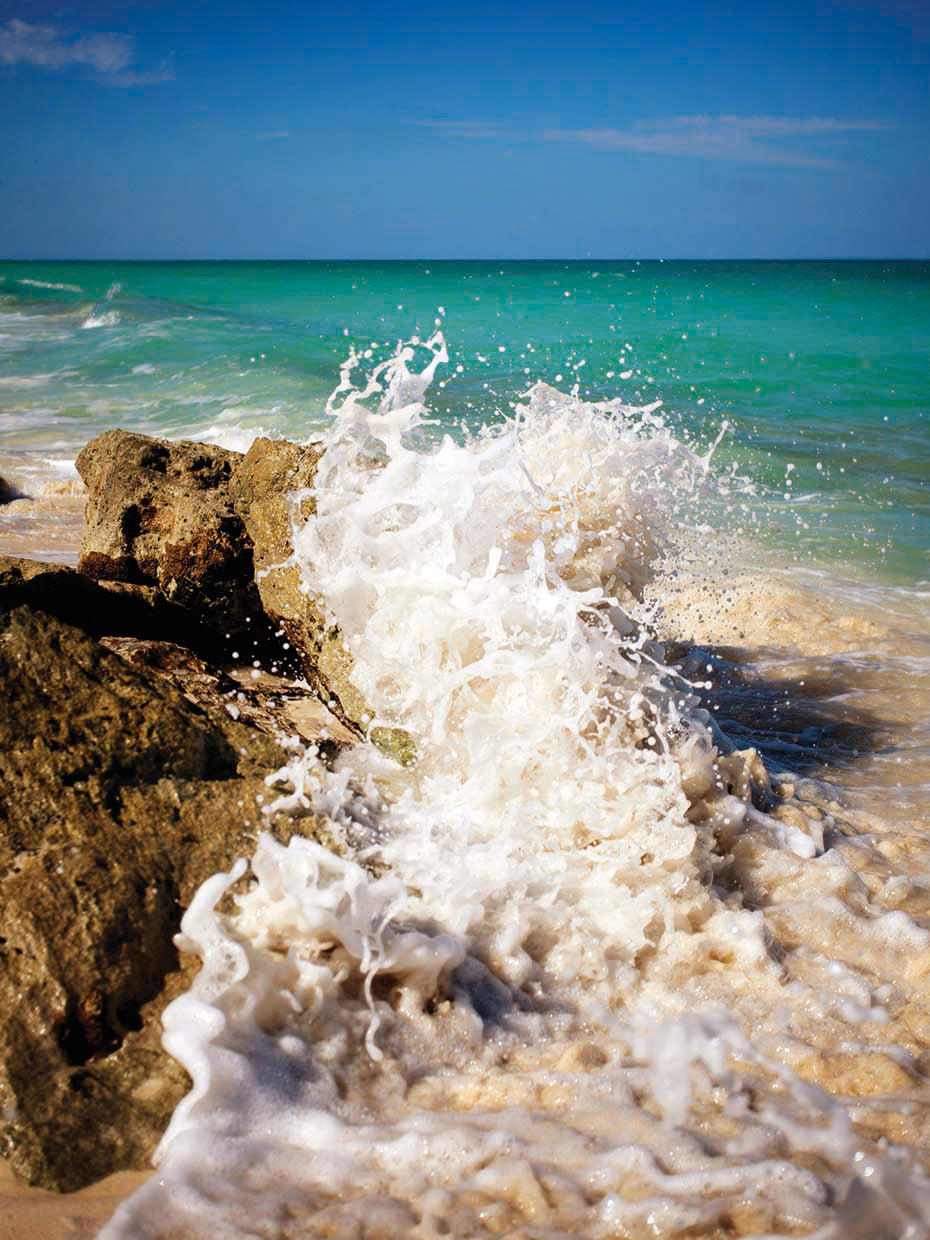 Rising Tide II