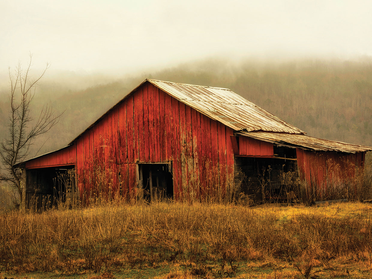 Skylight Barn in the Fog