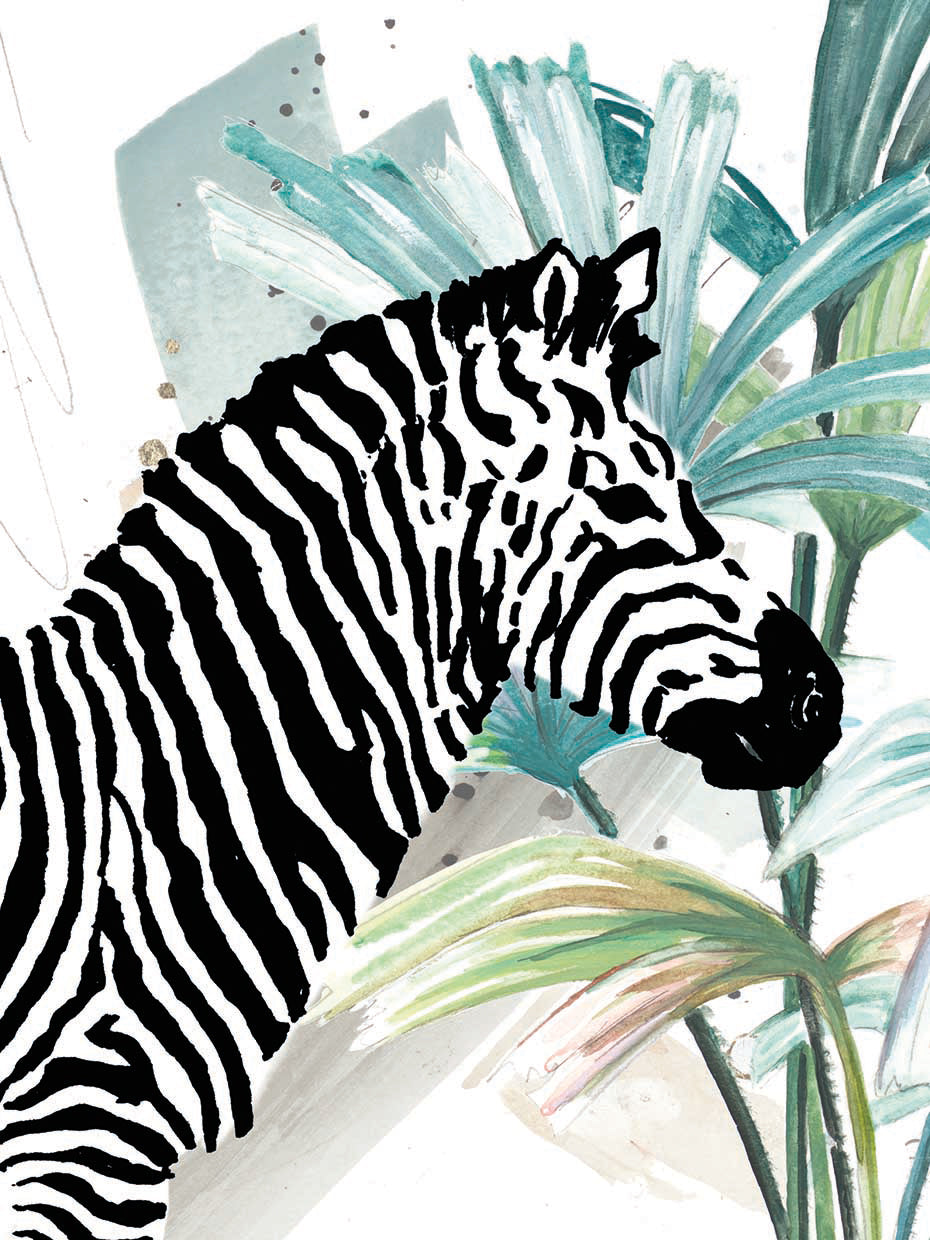 Tropical Zebra