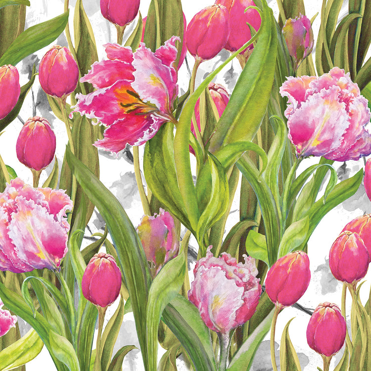 Tulip Symphony I