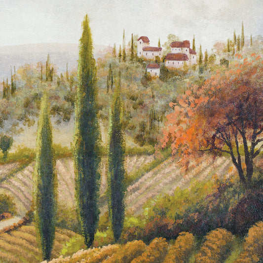 Tuscany Vineyard II Canvas Art