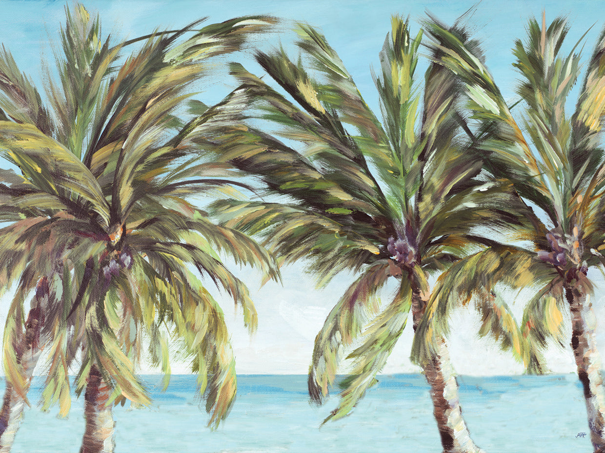 View of the Coastline