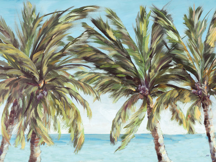 View of the Coastline