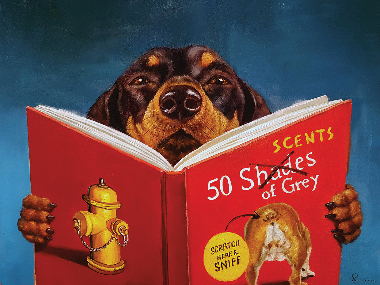 50 Scents of Grey