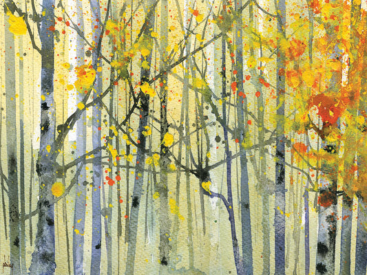 Autumn Birches Canvas Art