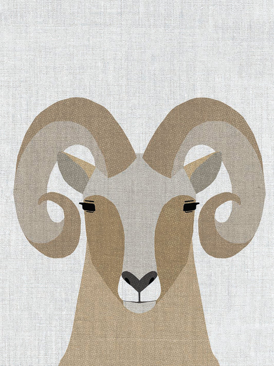Bighorn Sheep Canvas Art
