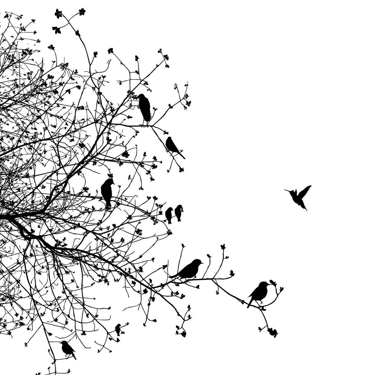 Bird I