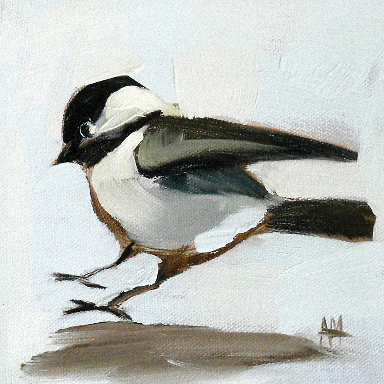 Coming In for a Landing