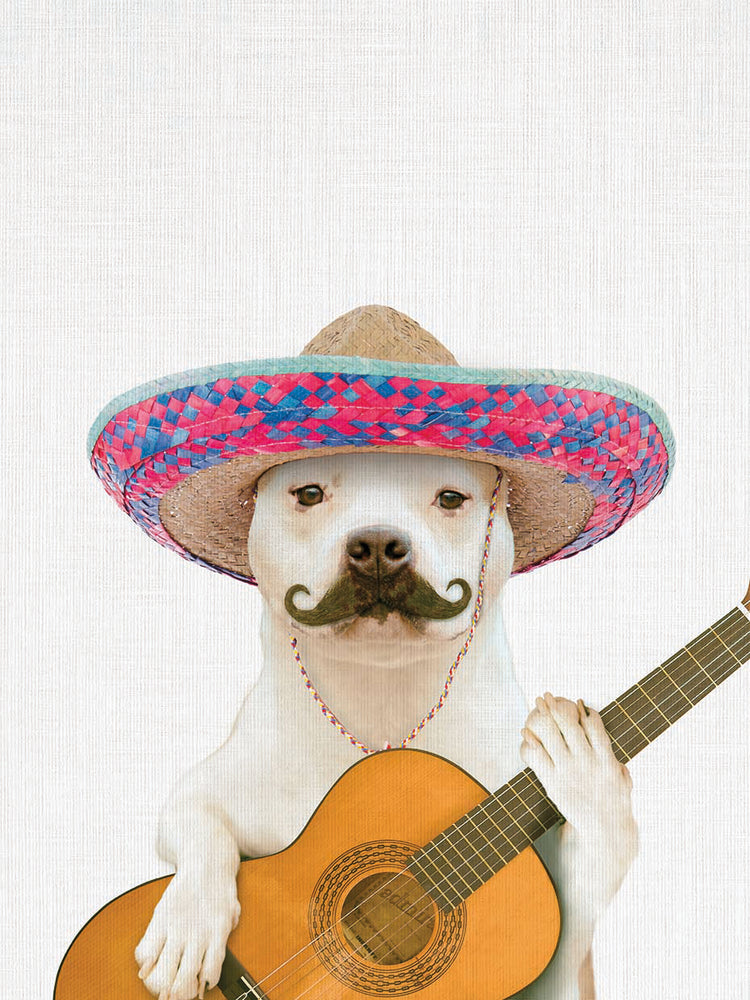 Dog Guitarist