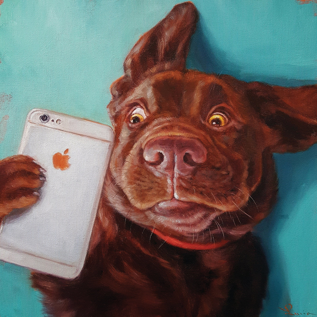 Dog Selfie