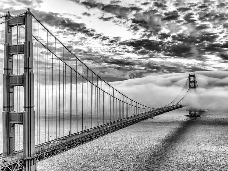 Evening Commute (BW)