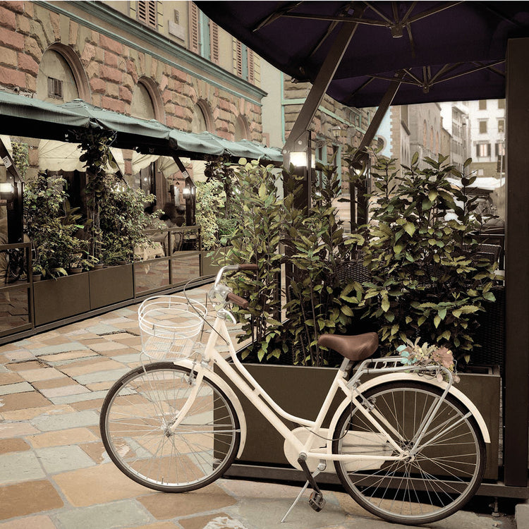 Cuadros en Lienzo Bicicleta Firenze