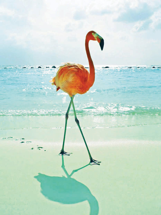 Flamingo on the Beach Canvas Art