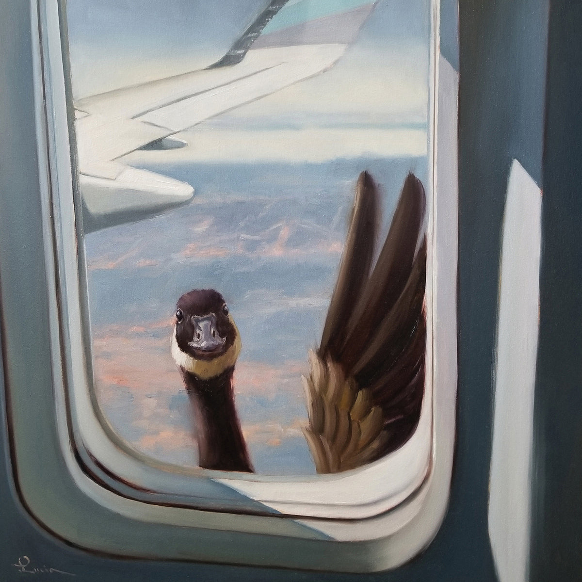 Friendly Skies