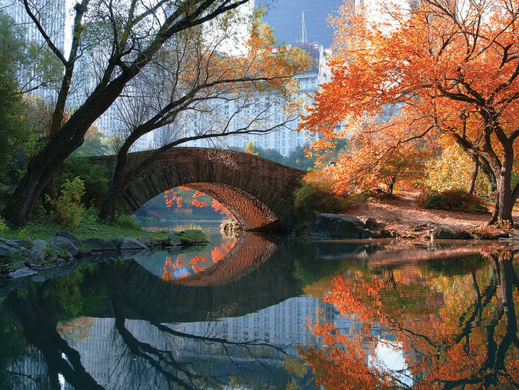 Gapstow Bridge, Fall