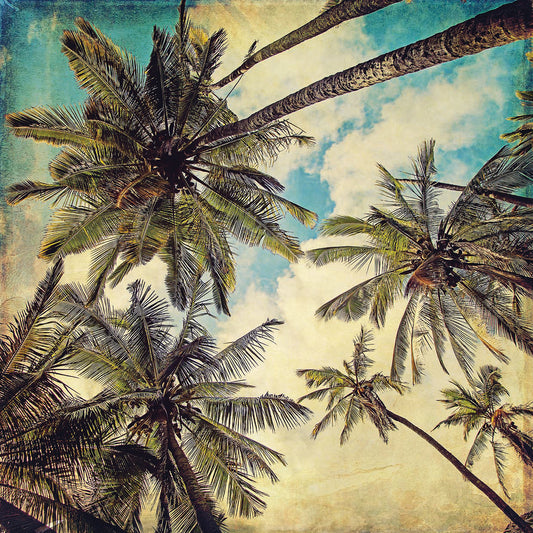 Kauai Island Palms Canvas Art