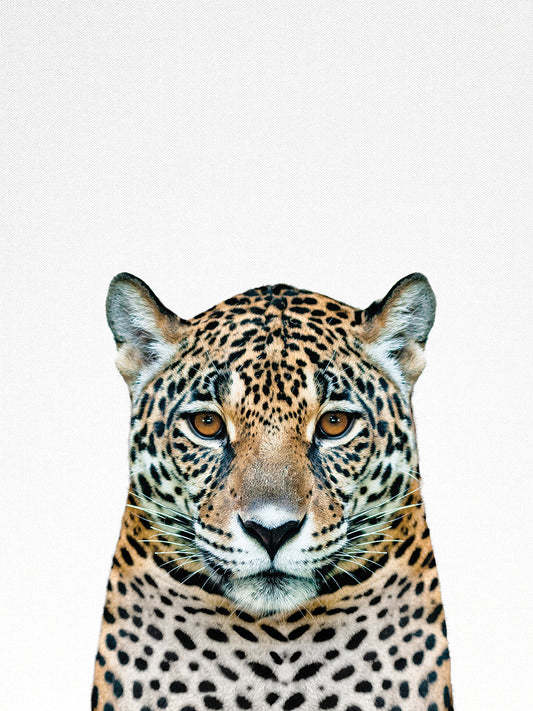 Leopard II Canvas Print