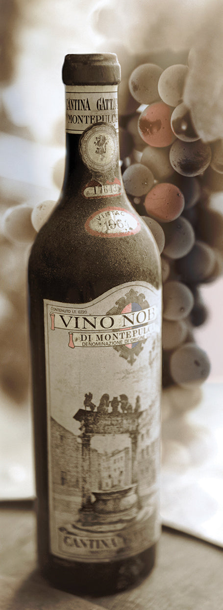 Montepulciano Vineyard #1