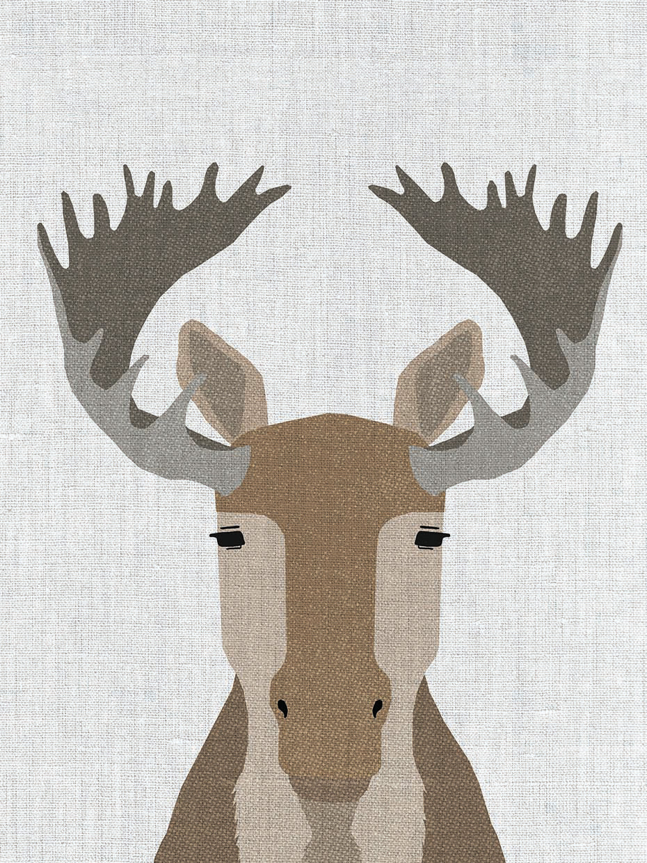 Moose