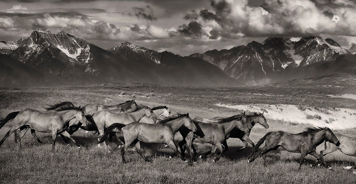 Mountain Range Mavericks