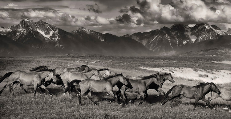 Mountain Range Mavericks