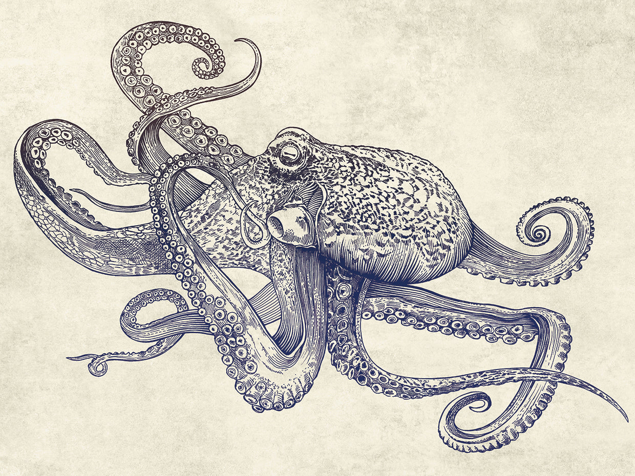 Octoflow