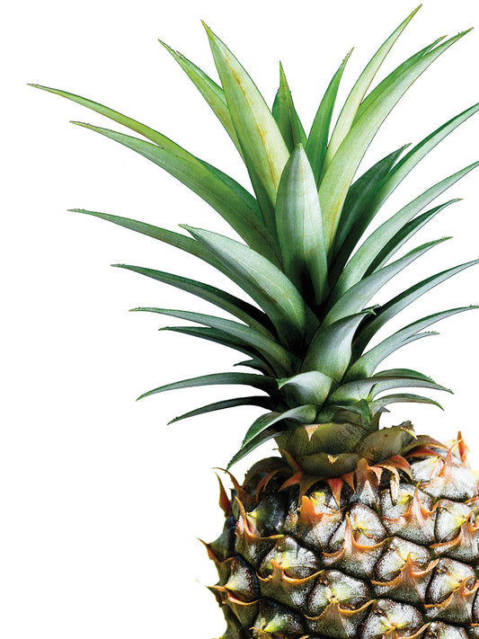 Pineapple (color)