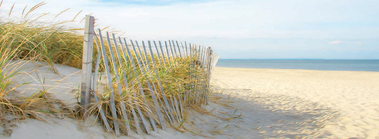 Sandy Neck (panorama)