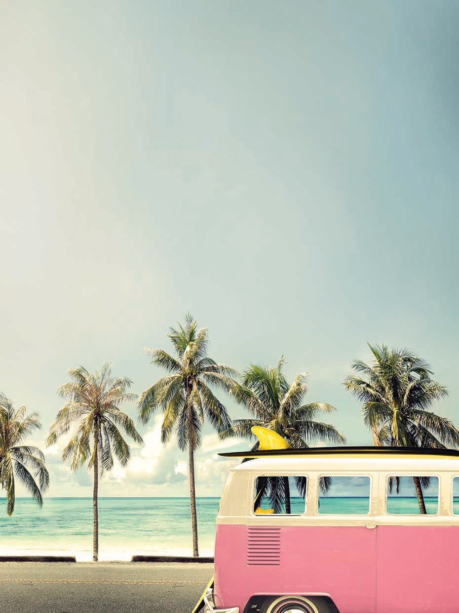 Surf Bus Pink