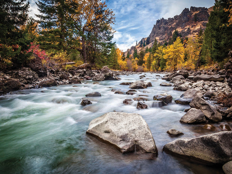 Teton River Rush
