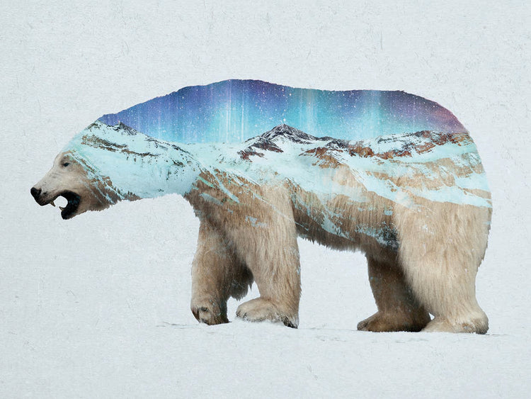 The Arctic Polar Bear