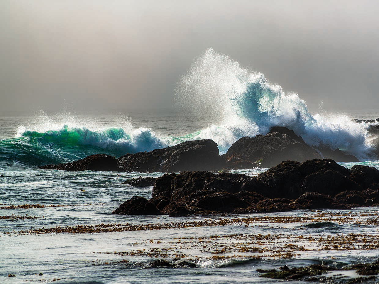 The Wave, Long Beach