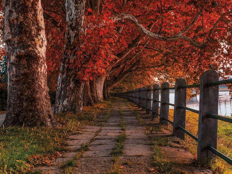 Walk by the River by Vladimir Kostka/Radiant Scenes is a colorful fall landscape photo printed on canvas or framed canvas