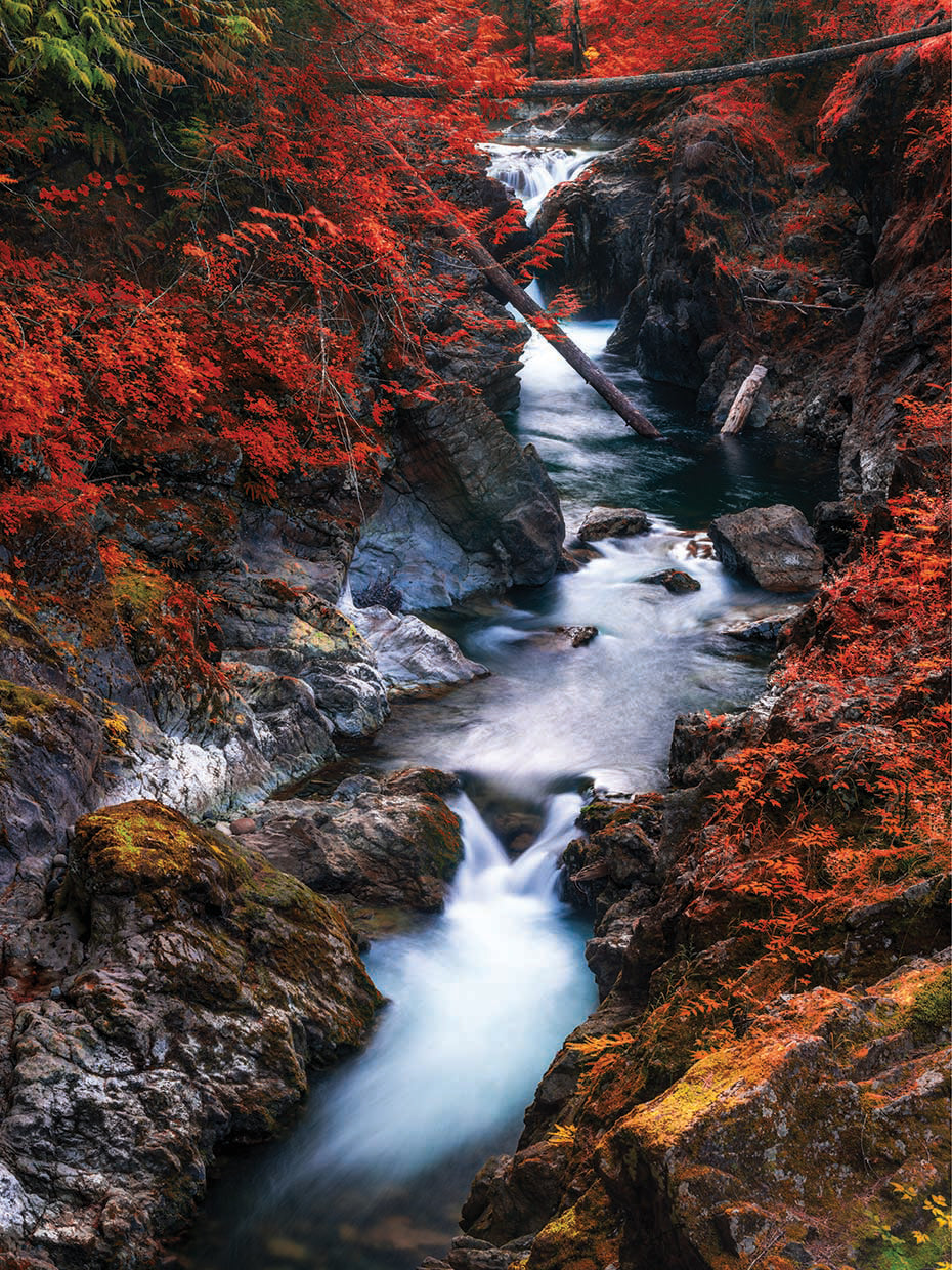 Water in the Fall