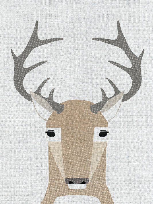 Whitetail Deer Canvas Art