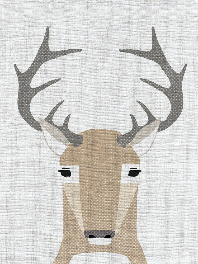 Whitetail Deer