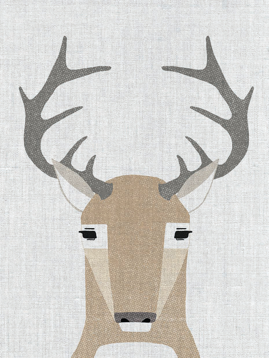 Whitetail Deer