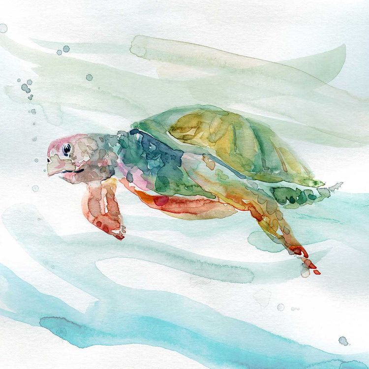 Turtle Tropics II by Carol Robinson - museum quality wall art work on large canvas & framed canvas prints