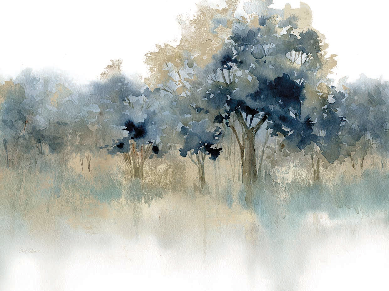 Bring the beauty of the outdoors into your home with this hauntingly beautiful canvas print