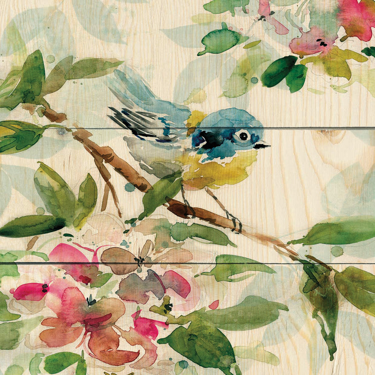 Birds and Blossoms I by Carol Robinson - top quality wall art work on large canvas & framed canvas prints