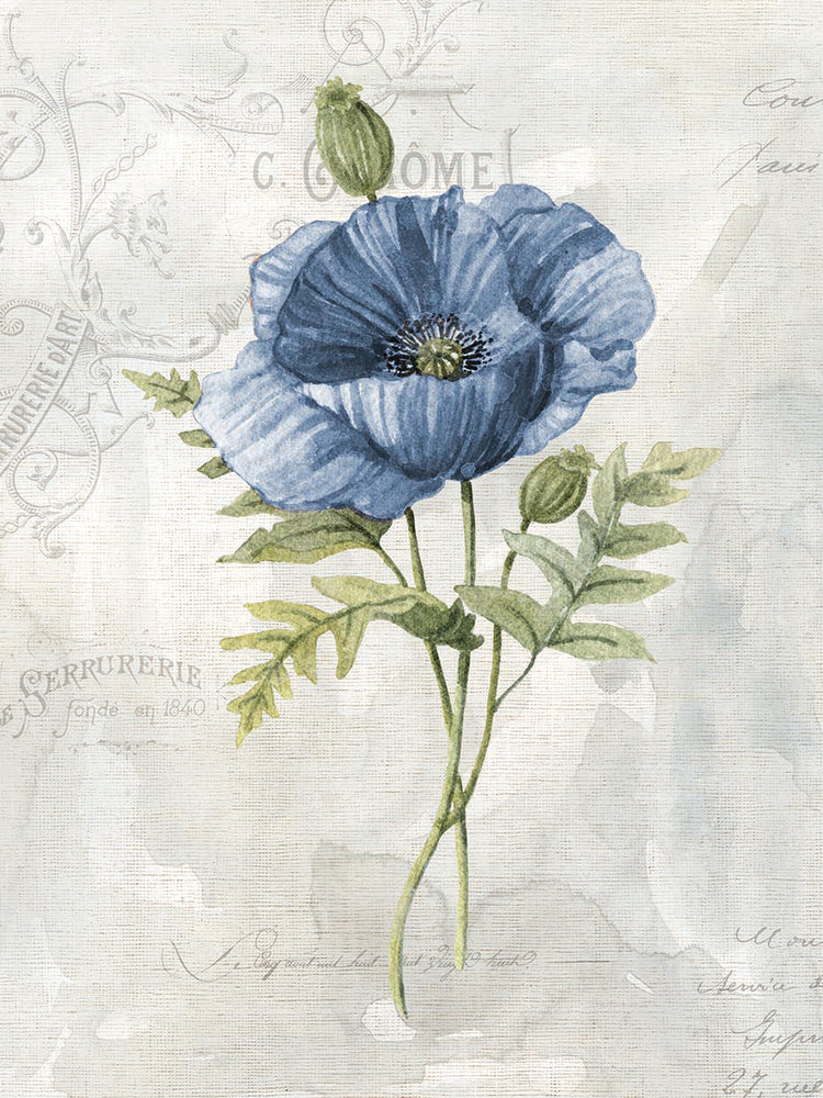 Blue Linen Poppy by Carol Robinson - lowest price wall art work on large canvas & framed canvas prints