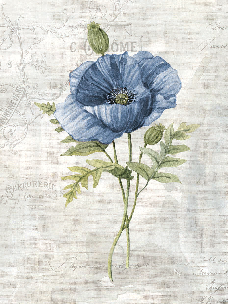 Blue Linen Poppy by Carol Robinson - lowest price wall art work on large canvas & framed canvas prints