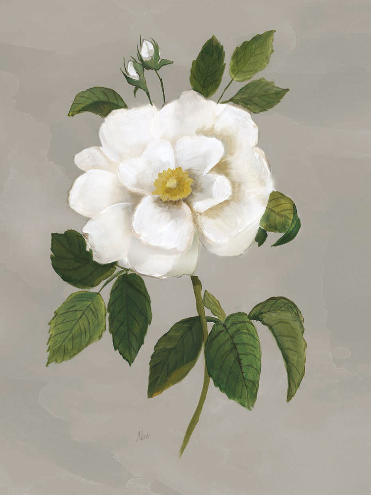 Botanical Garden Rose by Nan - larger sizes handcrafted wall art work on large canvas & framed canvas prints