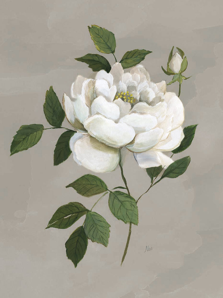 Botanical Rose by Nan - best quality handcrafted wall art work on large canvas & framed canvas prints