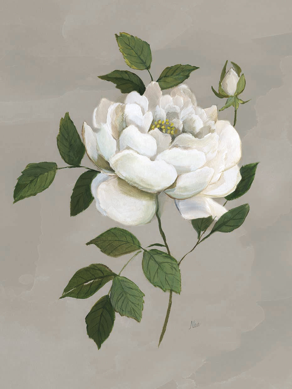 Botanical Rose by Nan - best quality handcrafted wall art work on large canvas & framed canvas prints