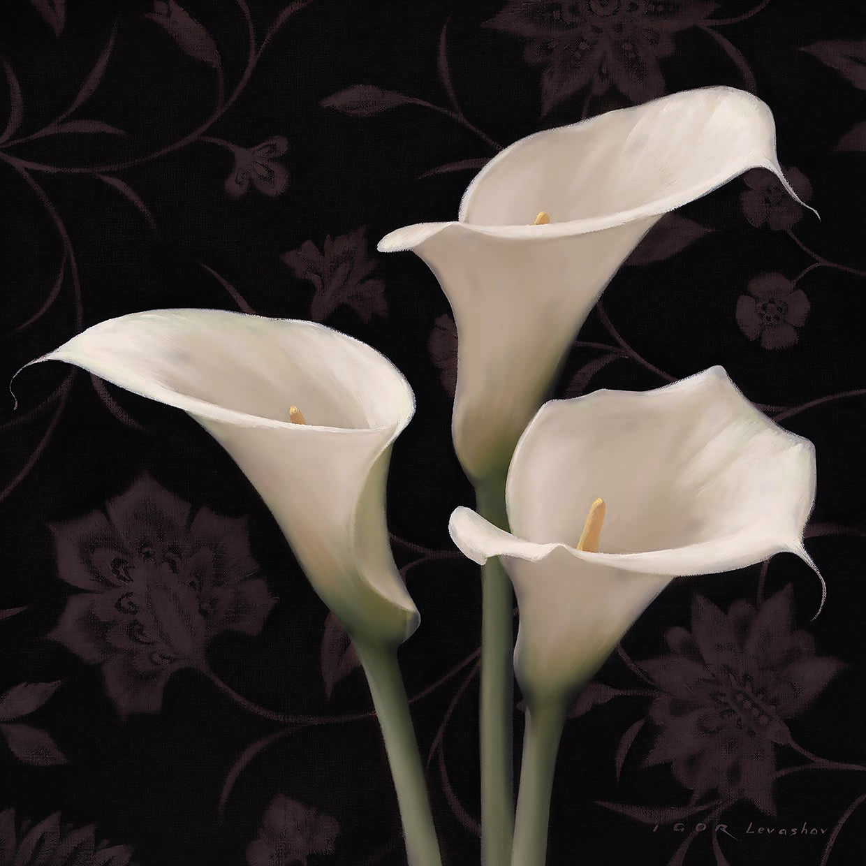 Calla Elegantes