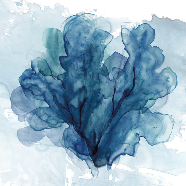 Coastal Coral II by Carol Robinson - best quality handcrafted wall art work on large canvas & framed canvas prints