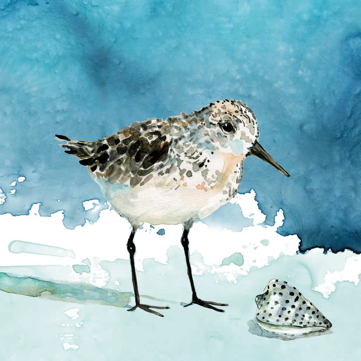 Delray Sandpiper I by Carol Robinson - museum quality wall art work on large canvas & framed canvas prints