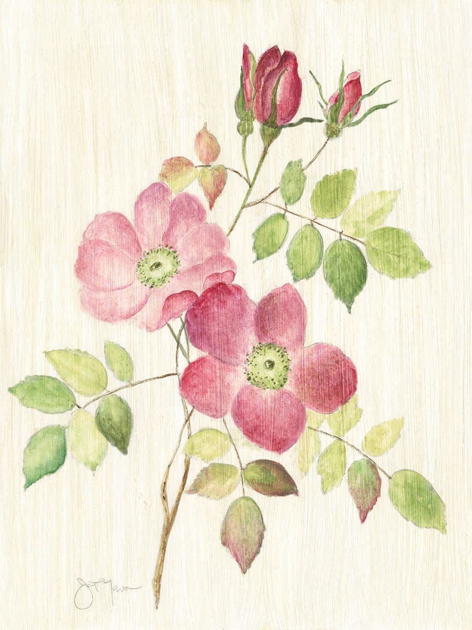 Dusty Rose I