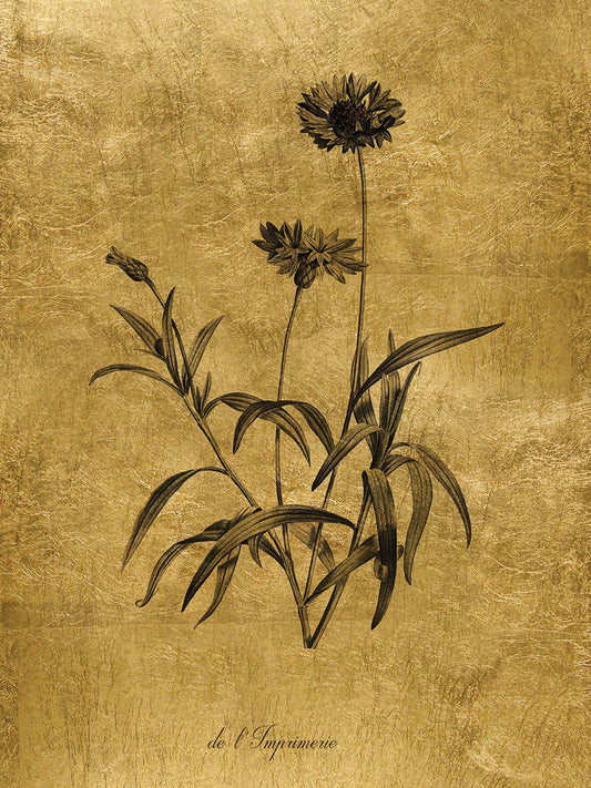 Gold Sketch Botanical I